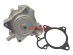 504113545  504087367 Waterpump for Daily Massif