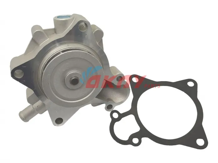 504113545  504087367 Waterpump for Daily Massif