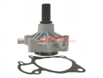 504113545  504087367 Waterpump for Daily Massif